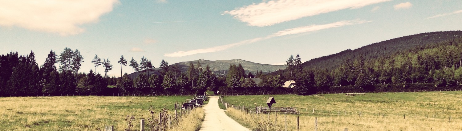 Elisabeth Koeffel-Heiß